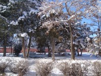 /album/our-school/dsc03126-jpg/